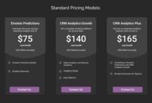 Salesforce CRM Cost