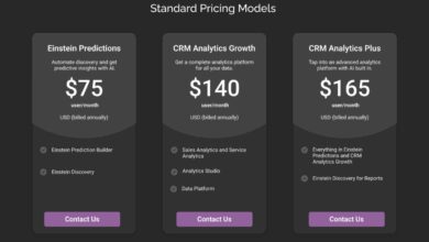 Salesforce CRM Cost