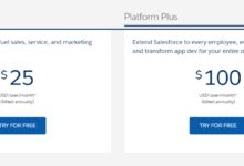 Salesforce CRM Pricing